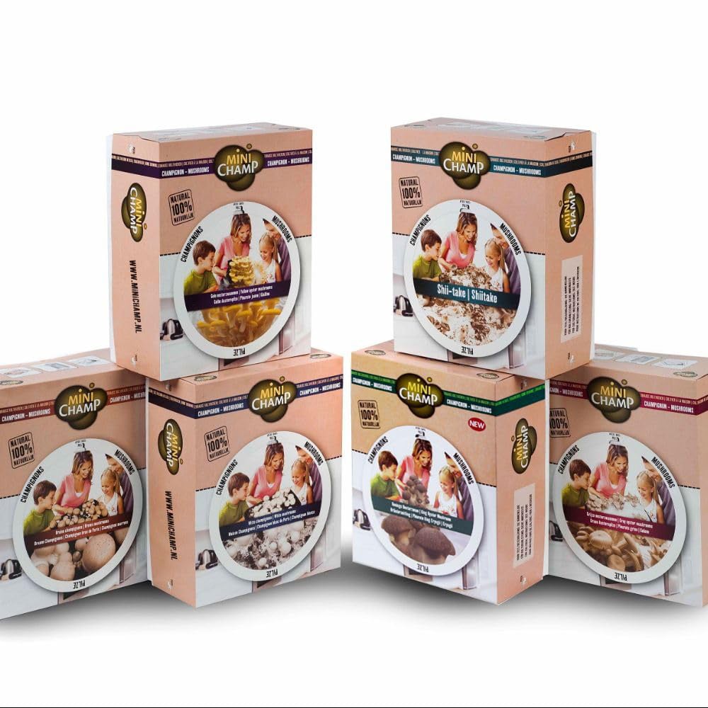 Thompson and Morgan Gift Grey Oyster Mushroom Prepack Windowsill Kit 3L Image 4