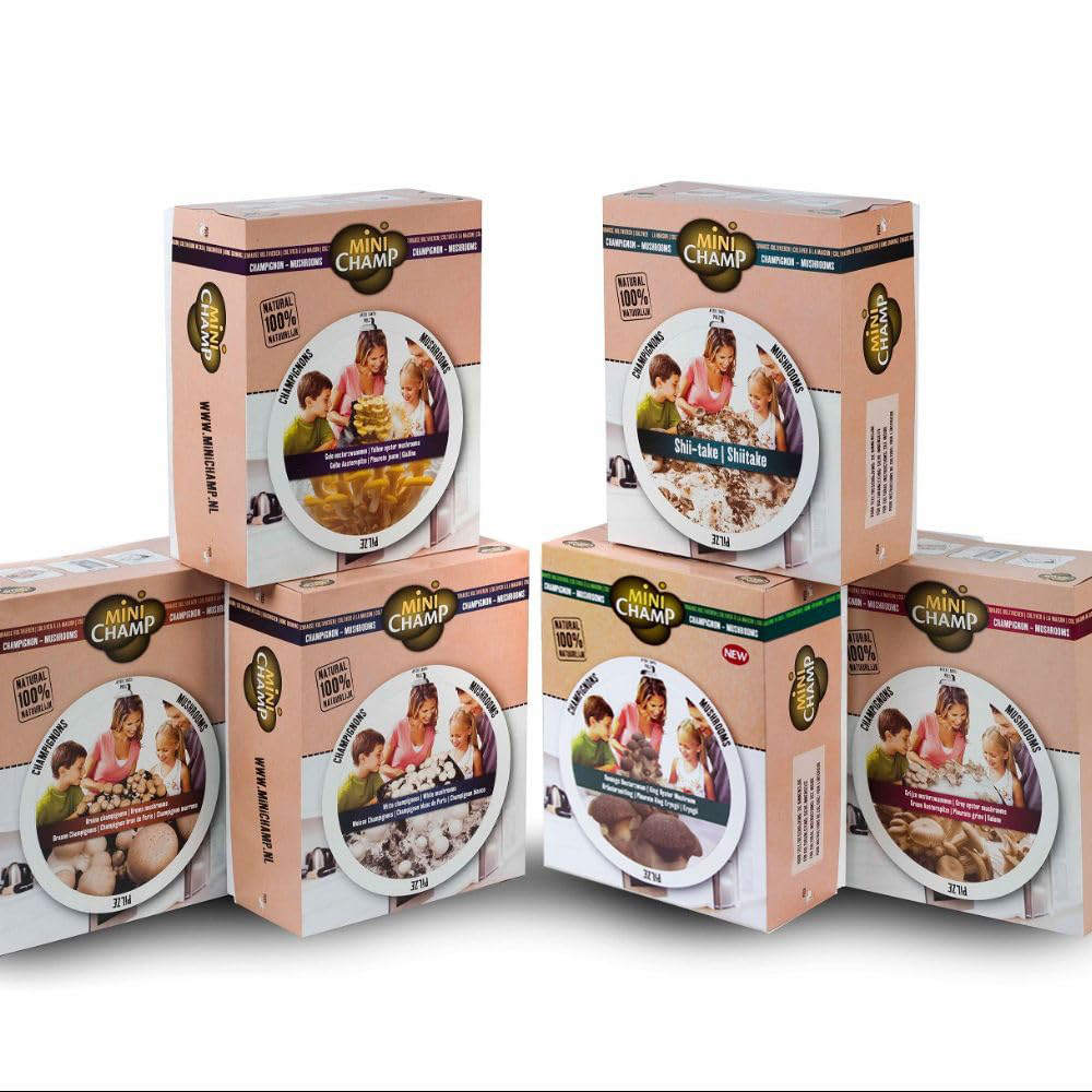 Thompson and Morgan Gift King Oyster Mushroom Prepack Windowsill Kit 3L Image 5