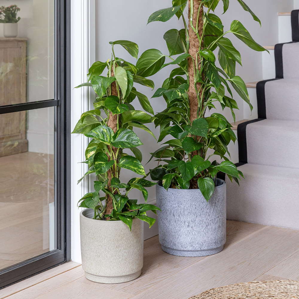 Ivyline Wesley Cream Marble Planter 22 x 26cm Image 2