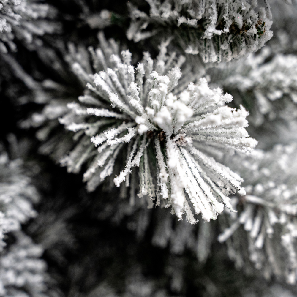 Bosk Frosted Arden Pine Artificial Christmas Tree 7.5ft Image 6