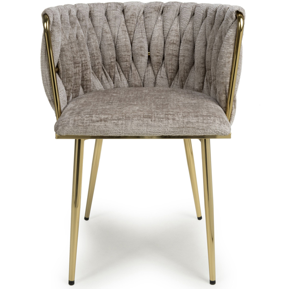 Shankar Ontario Set of 2 Mink Chenille Dining Chair Image 5