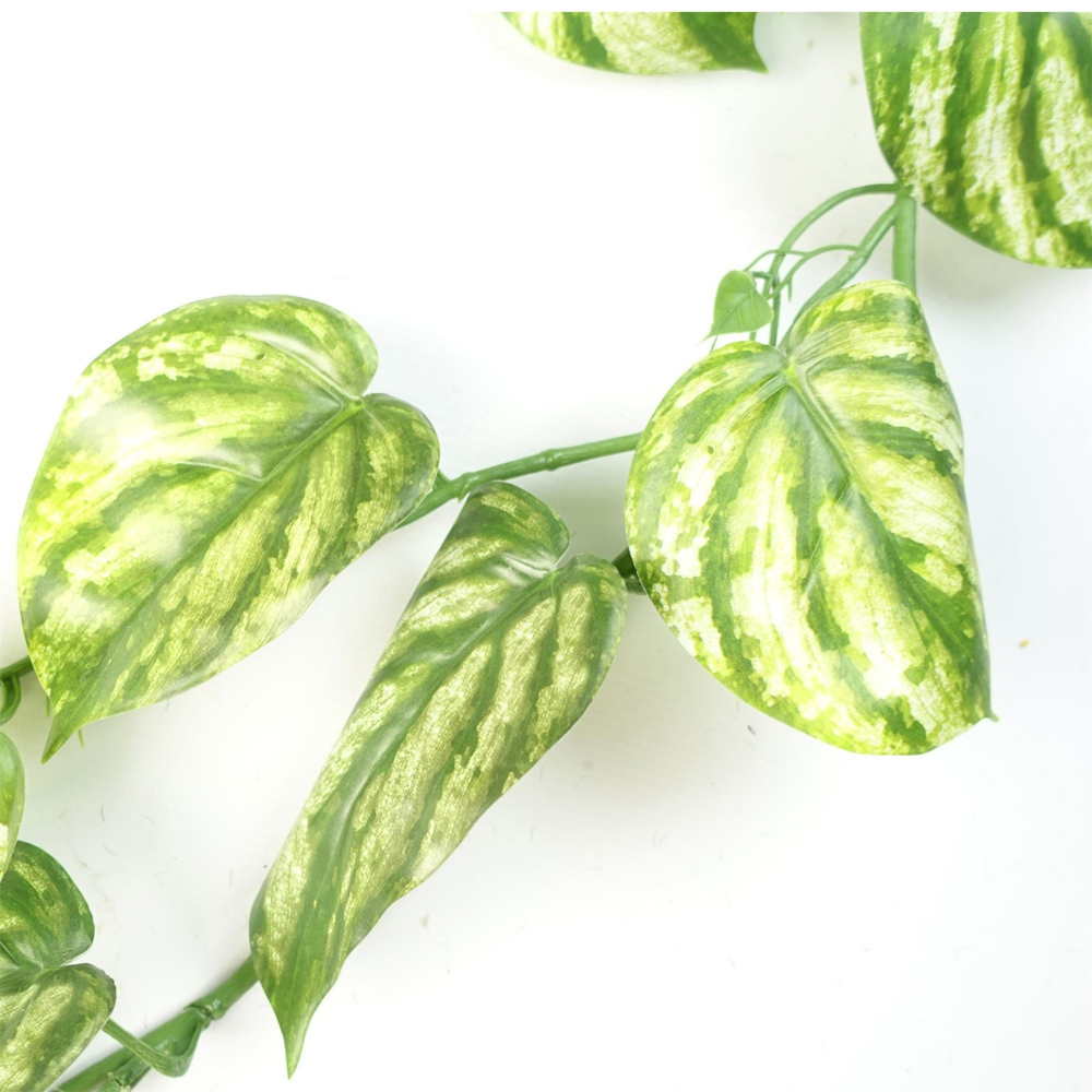 Leaf Devil's Ivy Hanging Artificial Plant 180cm 6 Pack Image 2