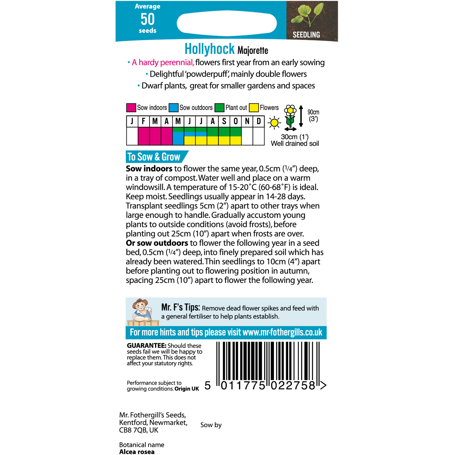 Hollyhock Majorette Mixed Seeds Image 2