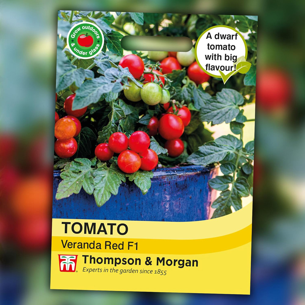 Thompson & Morgan Tomato Veranda Red F1 6 Seeds Packet Image 3