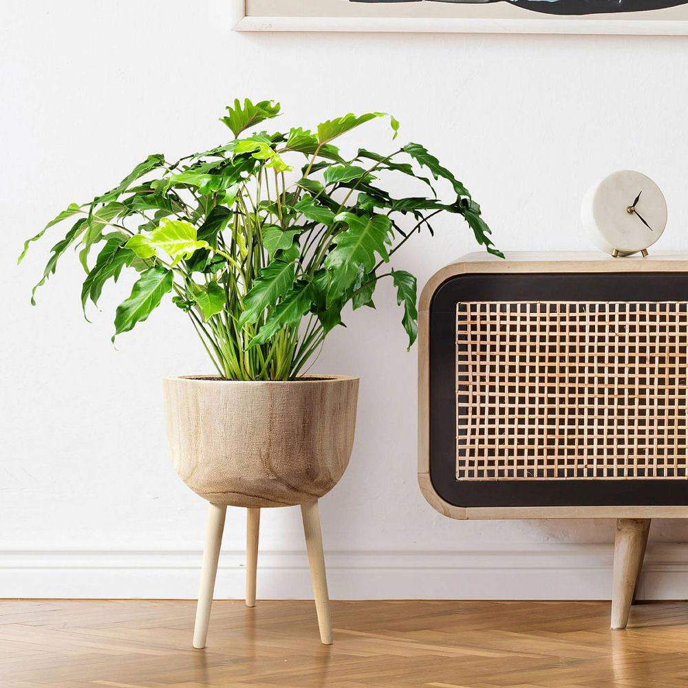 LECHUZA Hortico Gaia Wooden Round Indoor Plant Pot 43 x 29cm 2 Pack Image 6