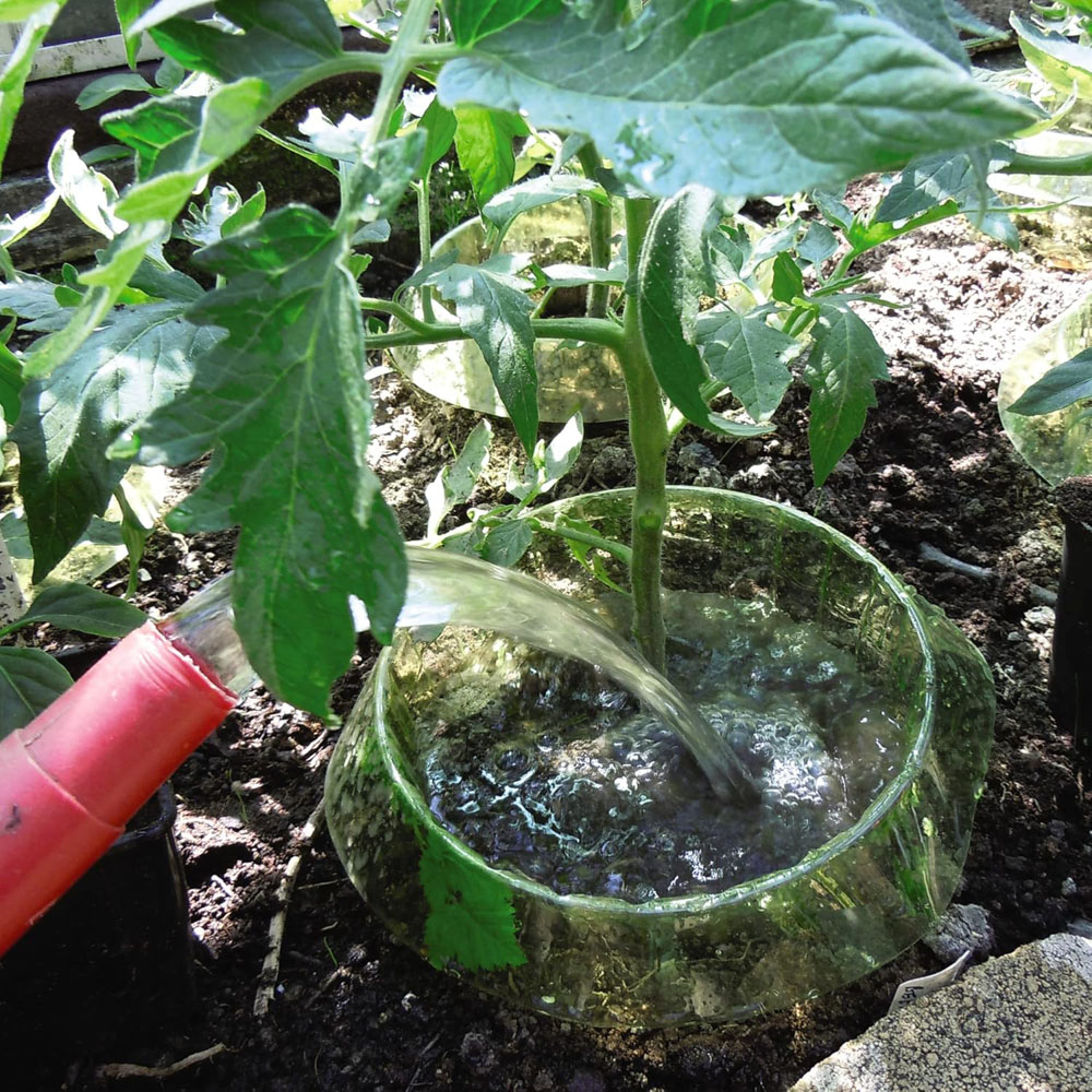 Garden Gear Garden Grow Snail Collar and Auto Waterer Image 2