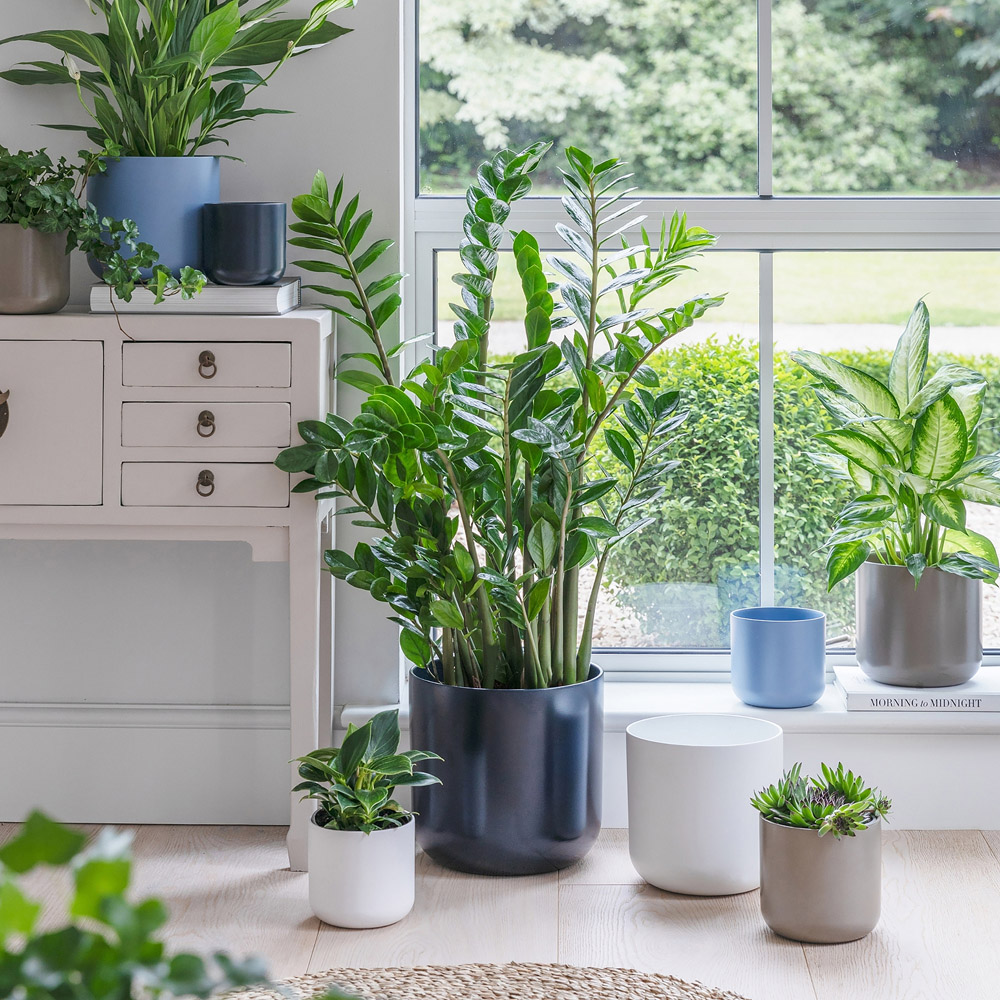 Ivyline Lisbon Powder Blue Planter 26 x 26cm Image 4