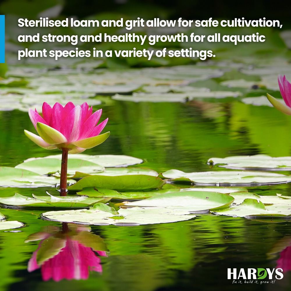 Hardys Pond Plant Aquatic Compost 20L Image 7