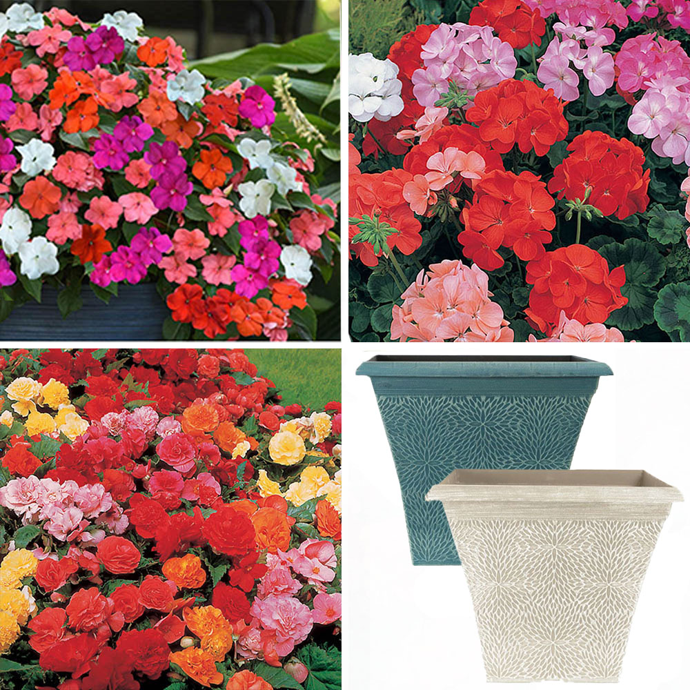 YouGarden Bright Summer Garden Ready Set Image 1