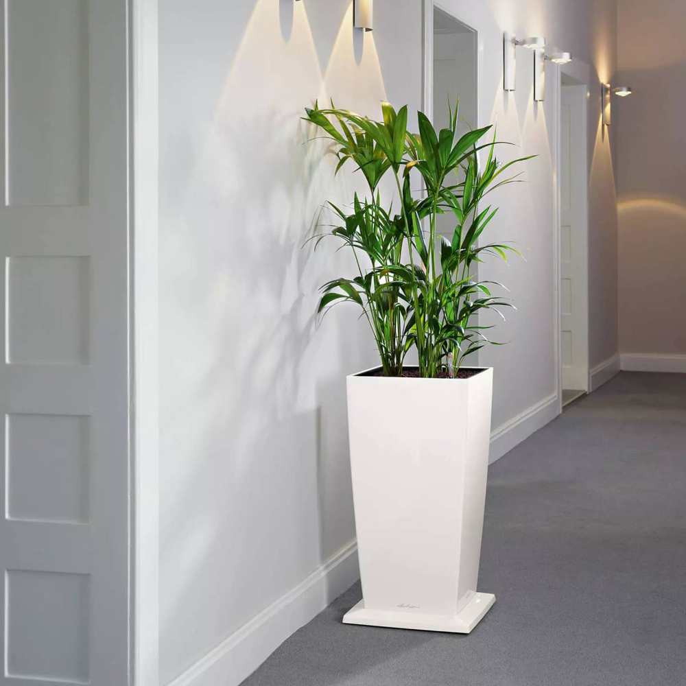 Lechuza Coaster for Cubico 40 Charcoal 2 Pack Image 5