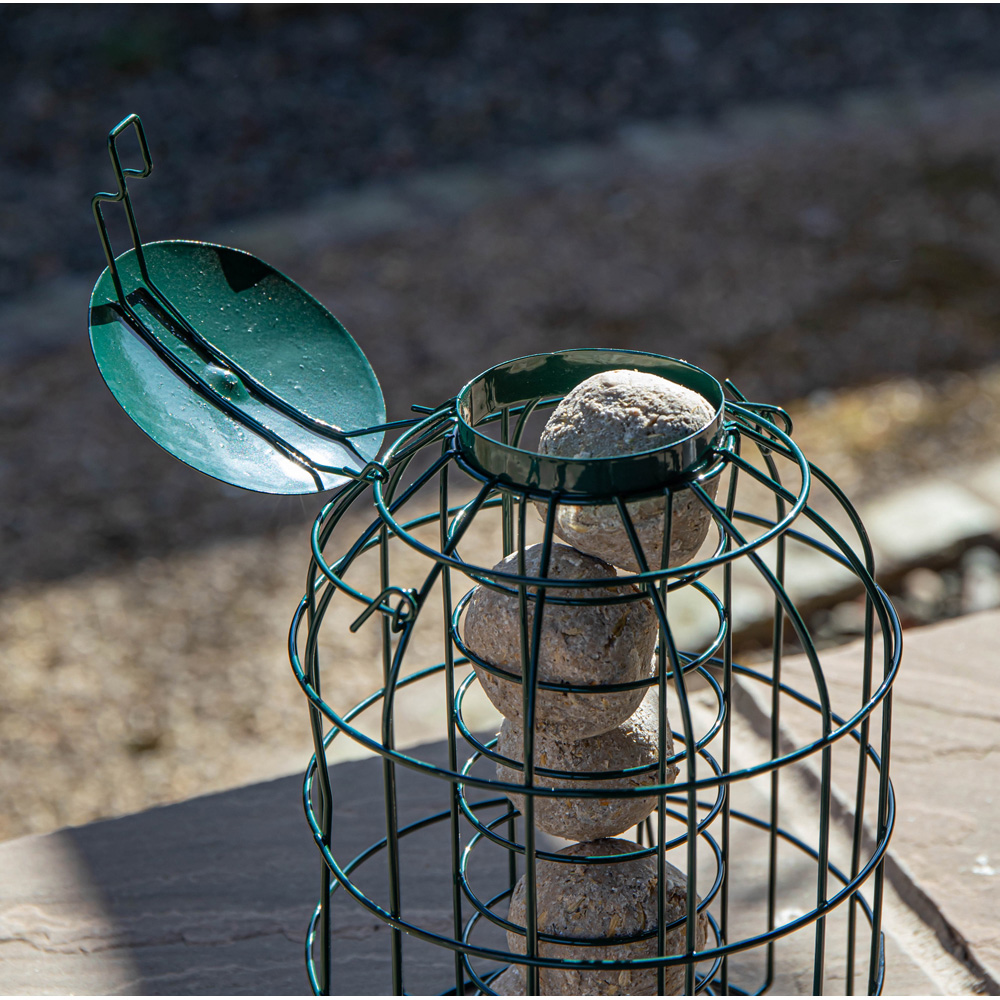 Samuel Alexander 2 Pack Metal Hanging Bird Feeder with Squirrel Guard and Suet Fat Ball 6 Pack Image 8