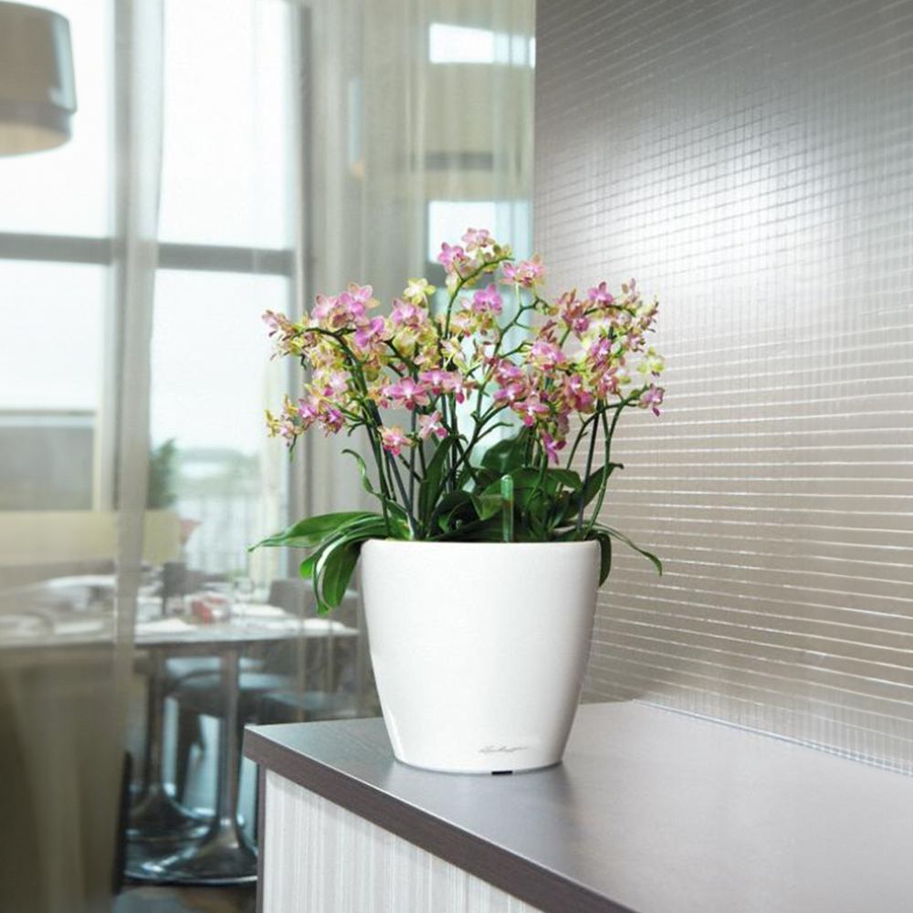 Lechuza Classico 35 LS White Poly-Resin Self-Watering Planter 33cm Image 4