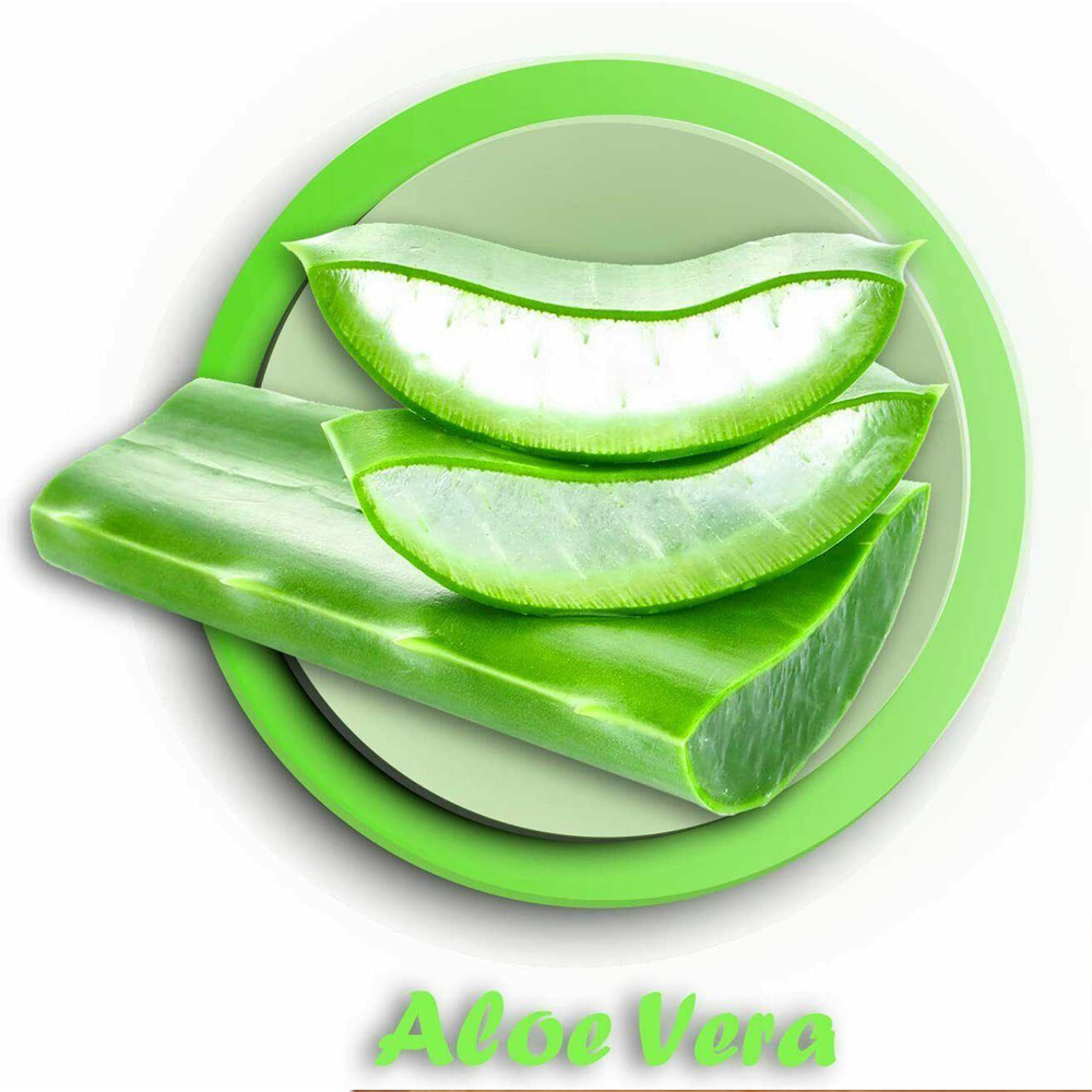 Freedom Aloe Vera Toilet Paper 3 Ply with Kitchen Towel 24 Rolls 2 Ply Image 8