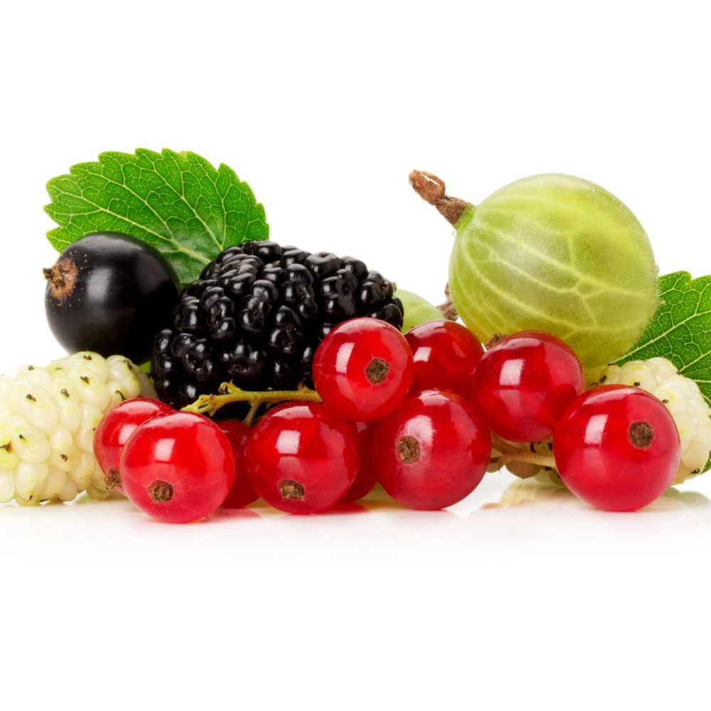 Thompson & Morgan Nurserymans Choice Fruit Potted Plant Image 3