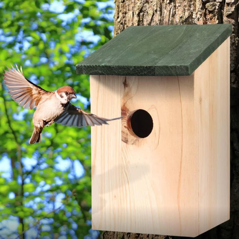 Marco Paul Bird Nesting Box 2 Pack Image 3