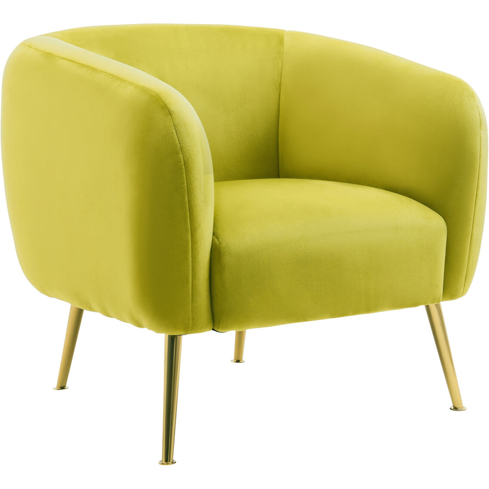 Premier Housewares Yasmeen Olive Velvet Armchair Image 2