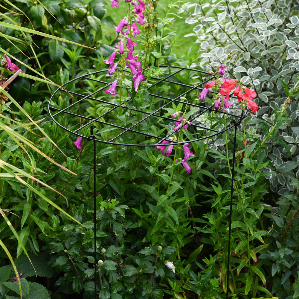 Garden Gear Grow Through Large Round Grid Support 50cm Image 3