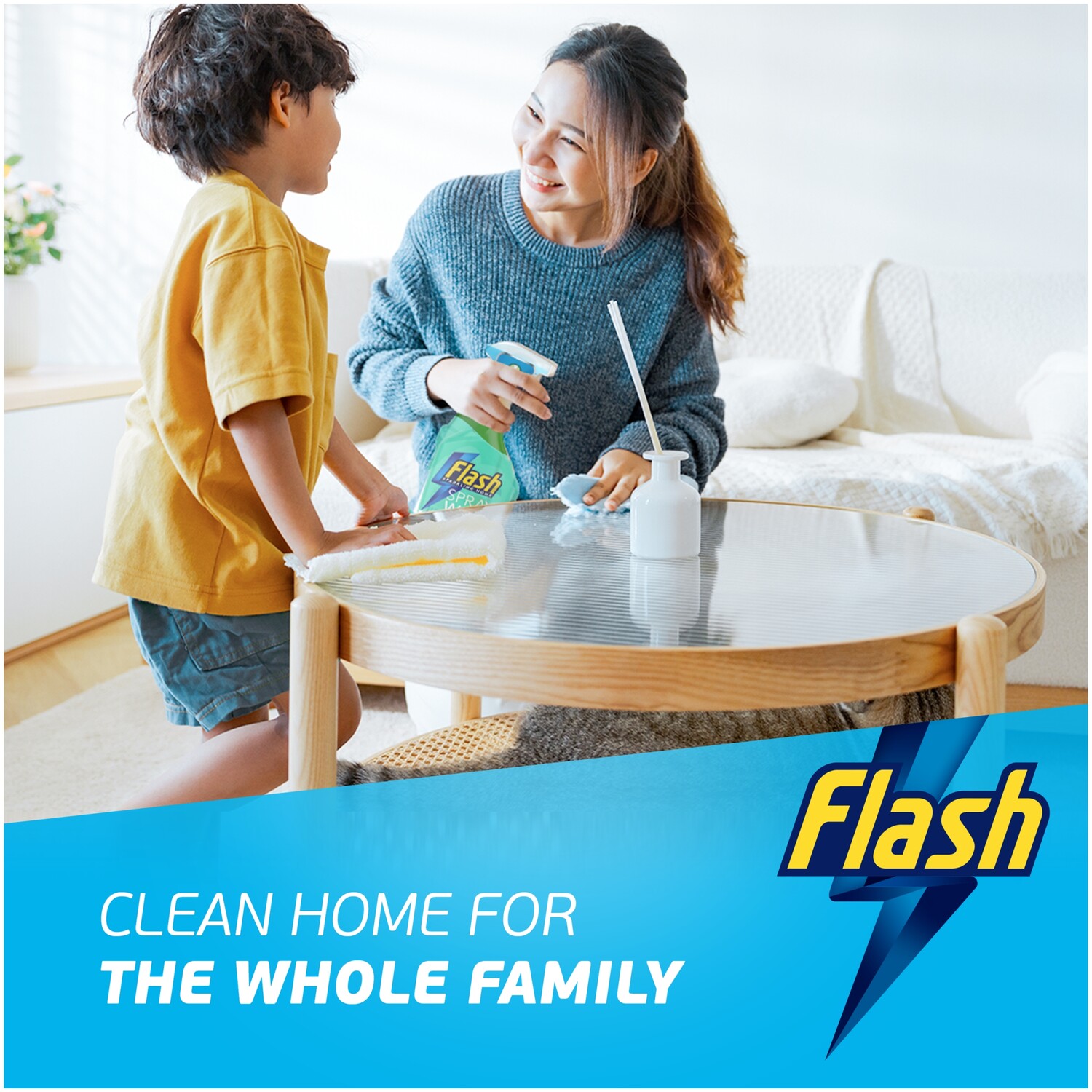 Flash Spray Wipe Done Pet Multi Pawpose Image 3