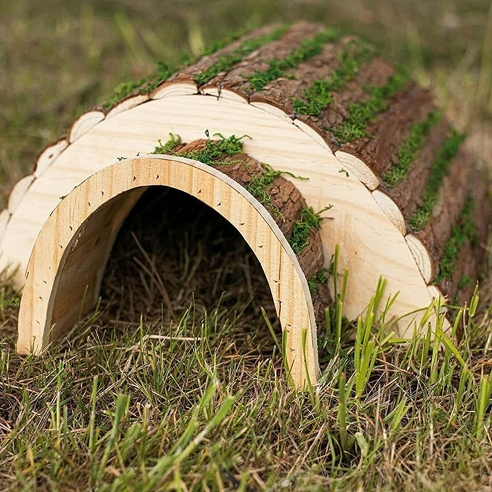 Marco Paul Hedgehog House with Moss Image 5