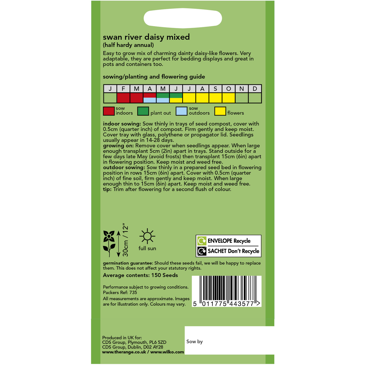 Wilko Swan River Daisy Mix Seeds Image 2