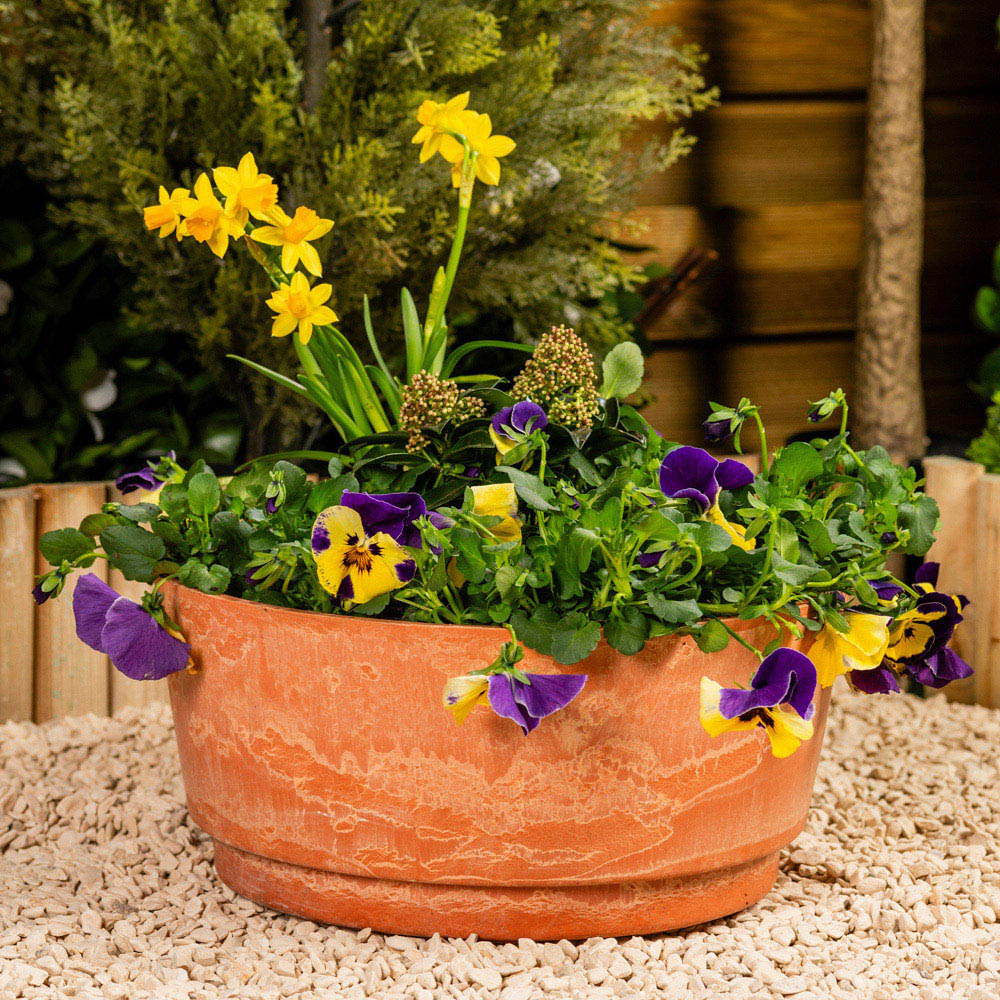 Garden Gear Caesar Terracotta Marble Effect Bowl Planter 35cm 2 Pack Image 2