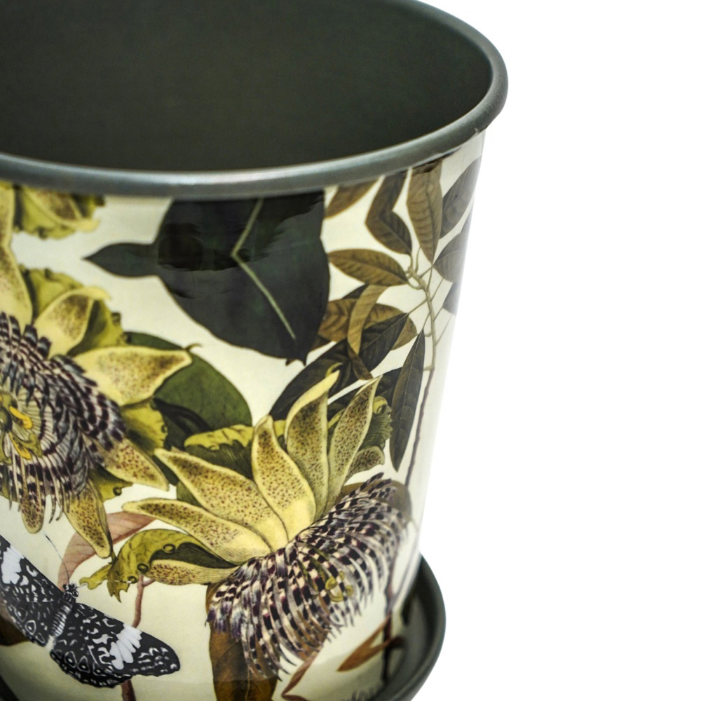 Ivyline Kew Green Botanical Retreat Planter with Saucer 16cm Image 2
