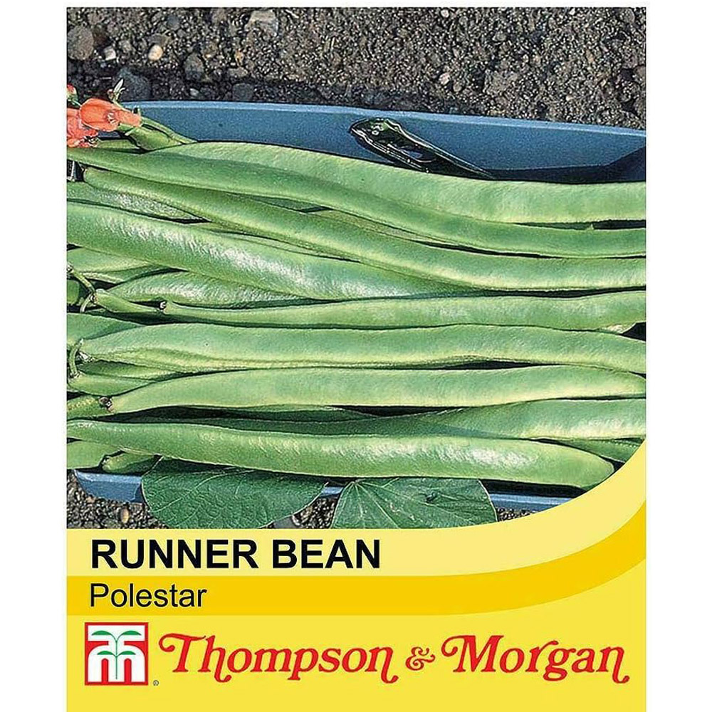 Thompson & Morgan Runner Bean Polestar 40 Seeds Packet Image 2