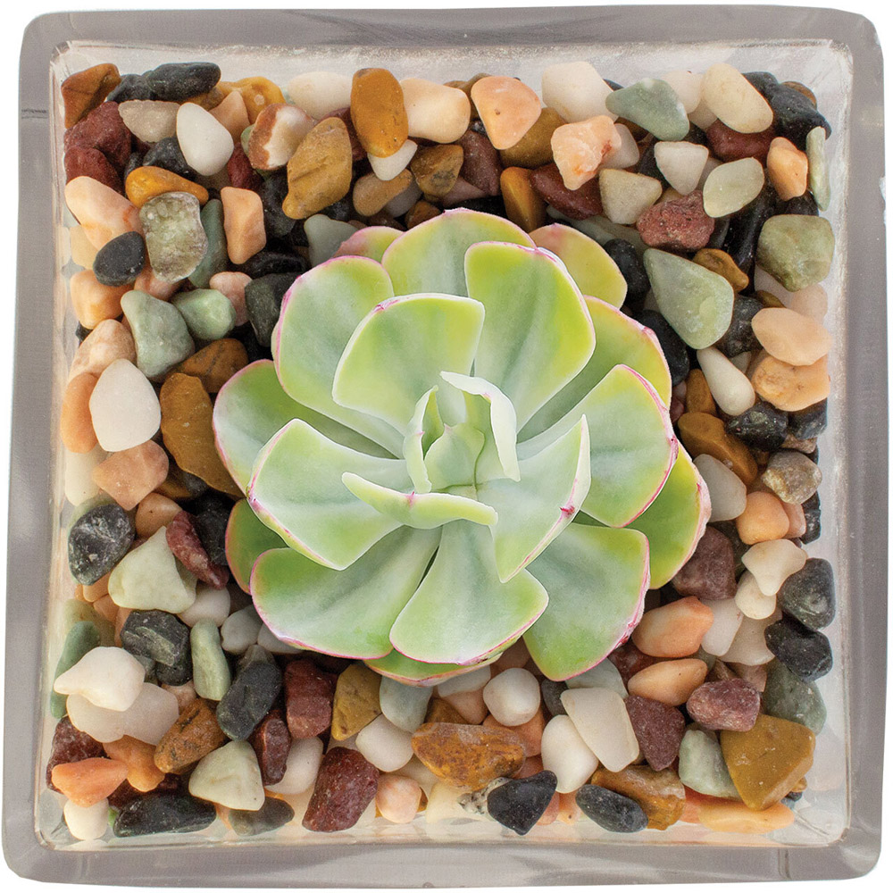 Urban Gardener Mixed River Rock Chippings 1.8kg Image 2