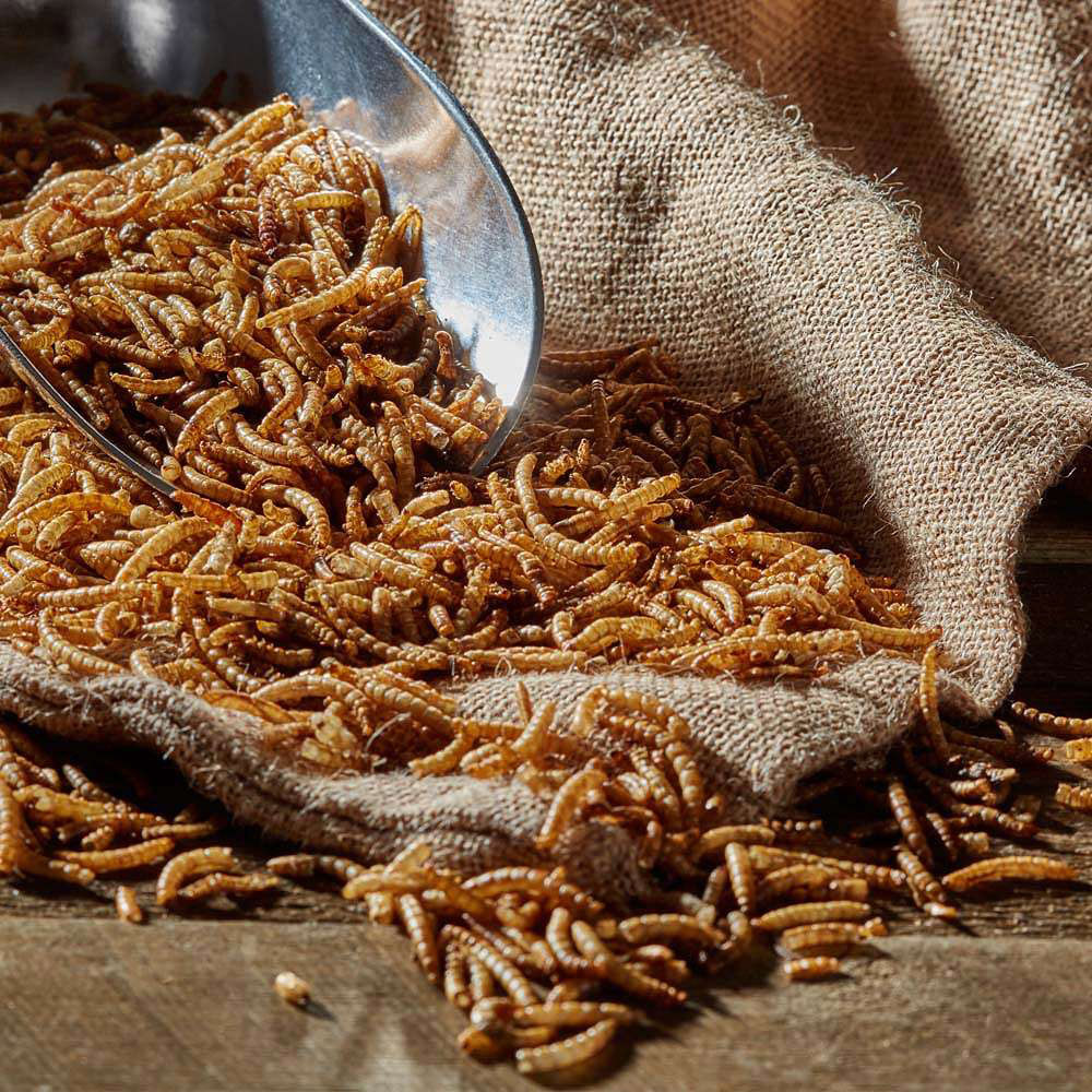 Happy Beaks Dried Mealworms Bird Food 5kg Image 5