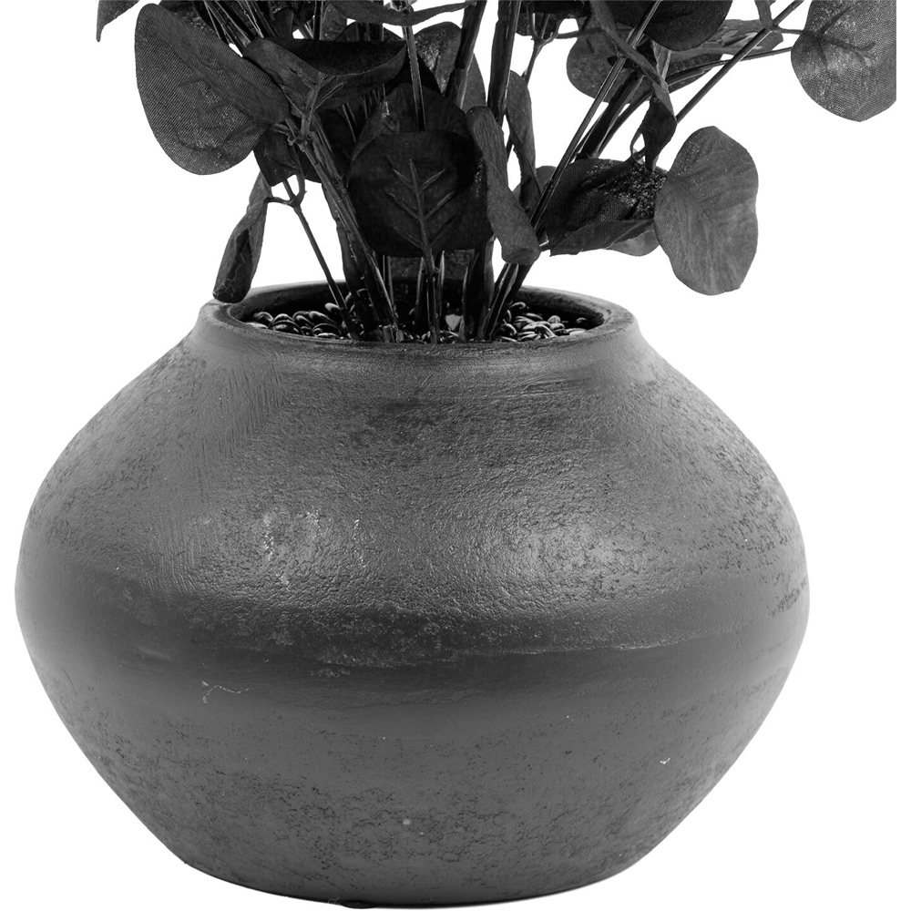 Eucalyptus Vase Arrangement Black Image 2