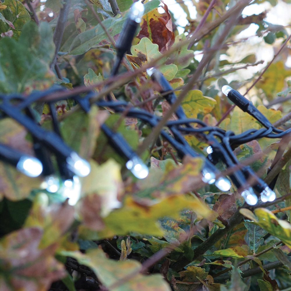 Eagle Connect 500 Cool White LED Black Cluster Light 10m Image 6