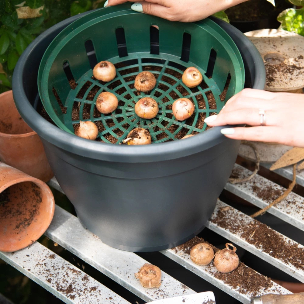 Thompson & Morgan Reusable Bulb Planting Basket 20 Pack Image 3