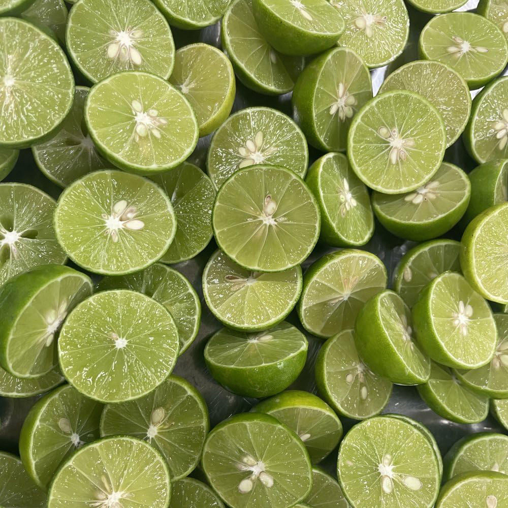 Thompson and Morgan Citrus Tree Key Lime Citrus Aurantifolia Plant Pot 5L 2 Pack Image 2