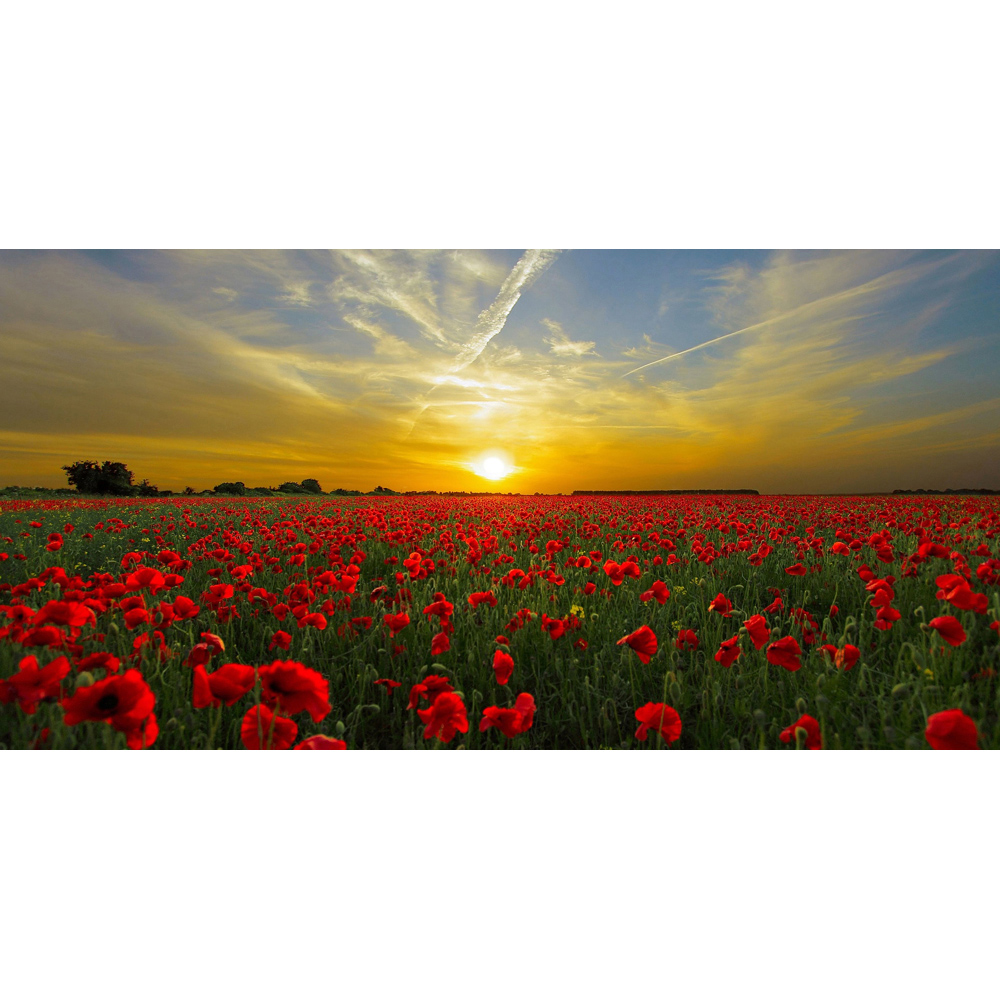 Mirrorstone Nexus Setting Sun Image Wi-Fi Infrared Heating Panel 700W 595 x 1195mm Image 4