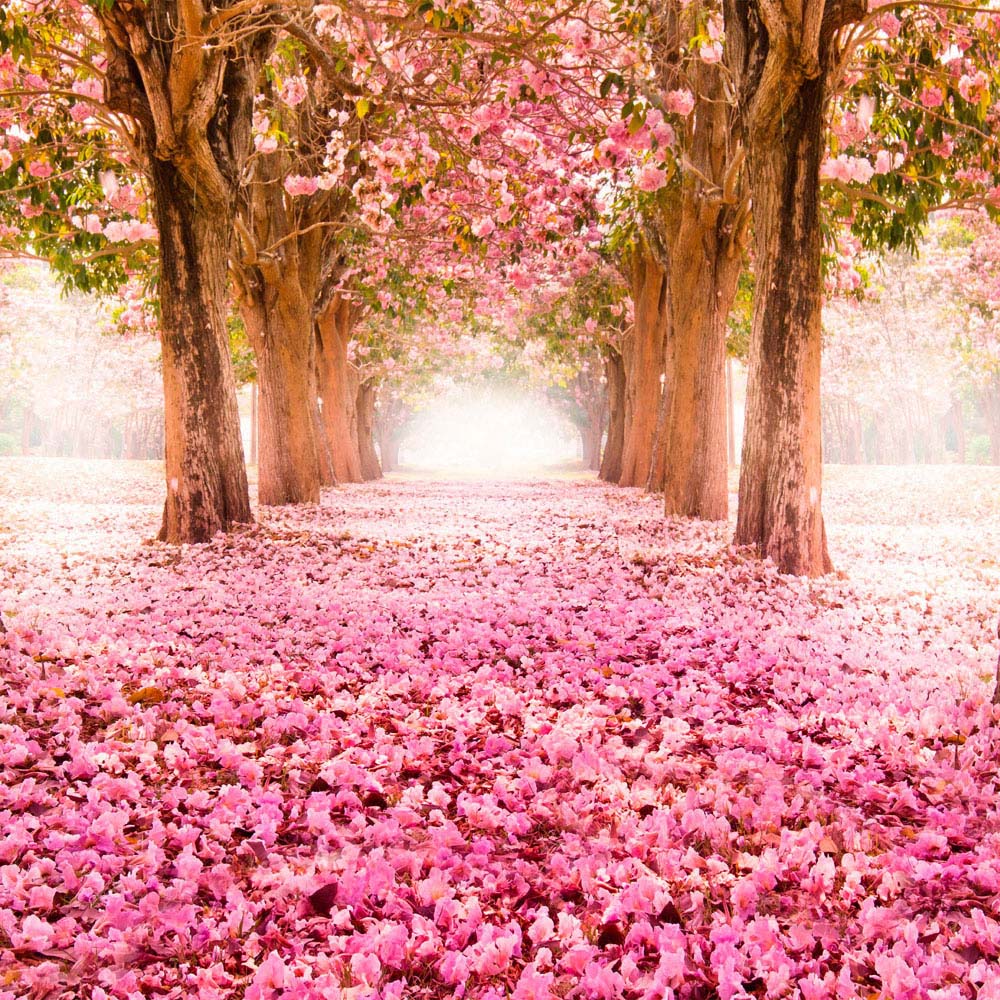 Origin Murals Blossom Tree Pink Wall Mural Image 2
