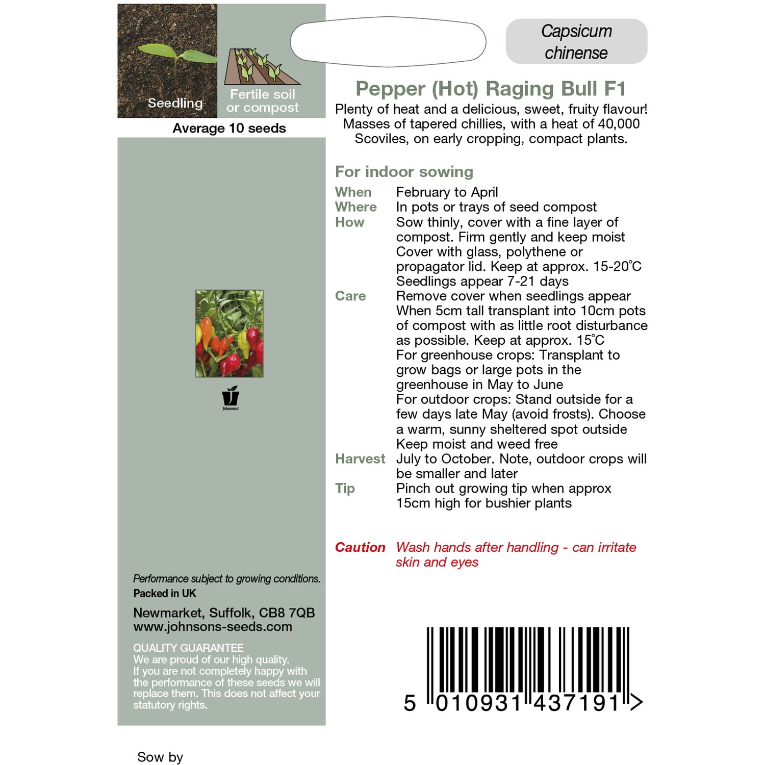 Johnsons Pepper (Hot) Raging Bull F1 Seeds - Red Image 2