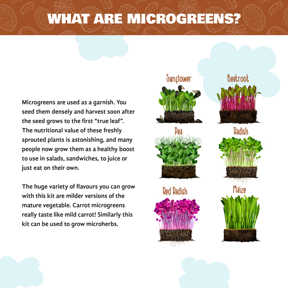 Coco & Coir Full Microgreen Growing Kit Image 3