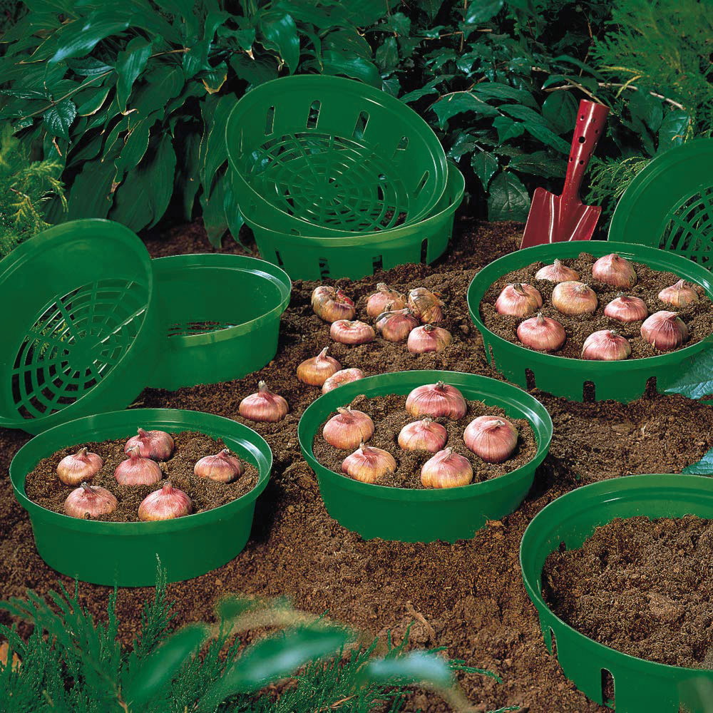 Thompson & Morgan Reusable Bulb Planting Basket 20 Pack Image 6