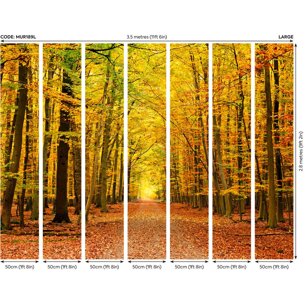 Origin Murals Autumn Forest Orange Wall Mural Image 4