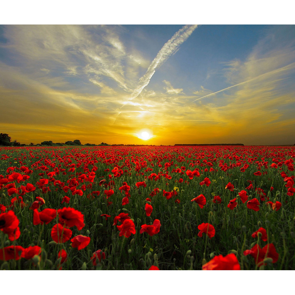 Mirrorstone Nexus Setting Sun Image Wi-Fi Infrared Heating Panel 1200W 995 x 1195mm  Image 4