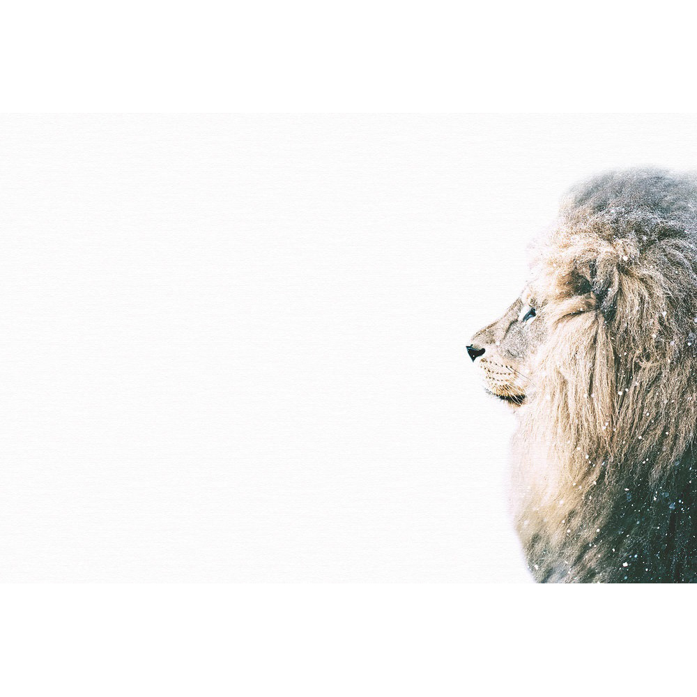A.S Creation Lion in Snow Digital Mural Image 2
