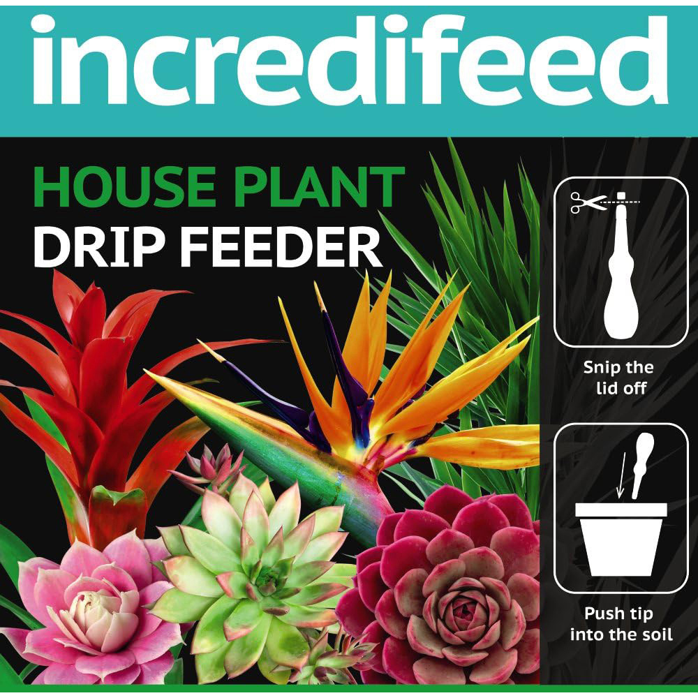 Thompson and Morgan Senecio String of Pearls Plant Pot 9cm 2 Pack with Incredifeed 30ml 2 Pack Image 4