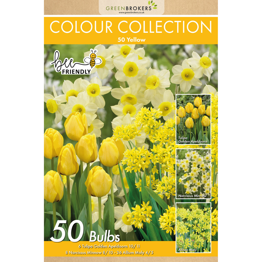GreenBrokers Dutch Yellow Colour Bee Friendly Mixed Collection Planting Bulb 50 Pack Image 2
