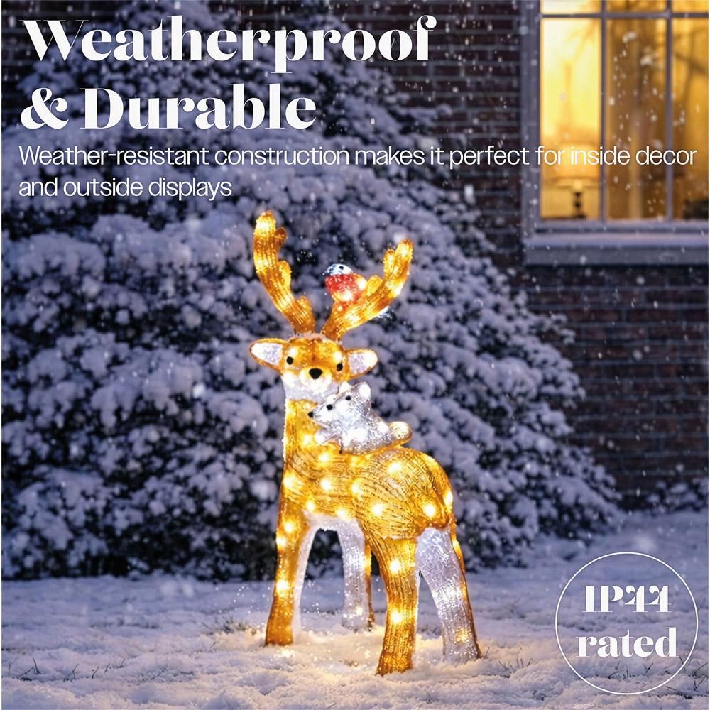 Xmas Haus 80 Bright White LED Acrylic Deer with Bird and Squirrel Christmas Decoration 60cm Image 4