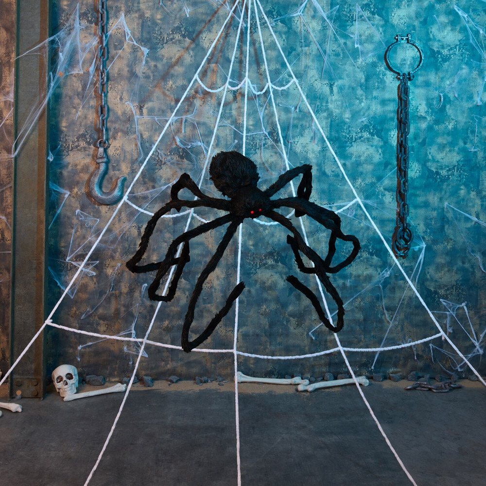 Giant Spider Web Image 2