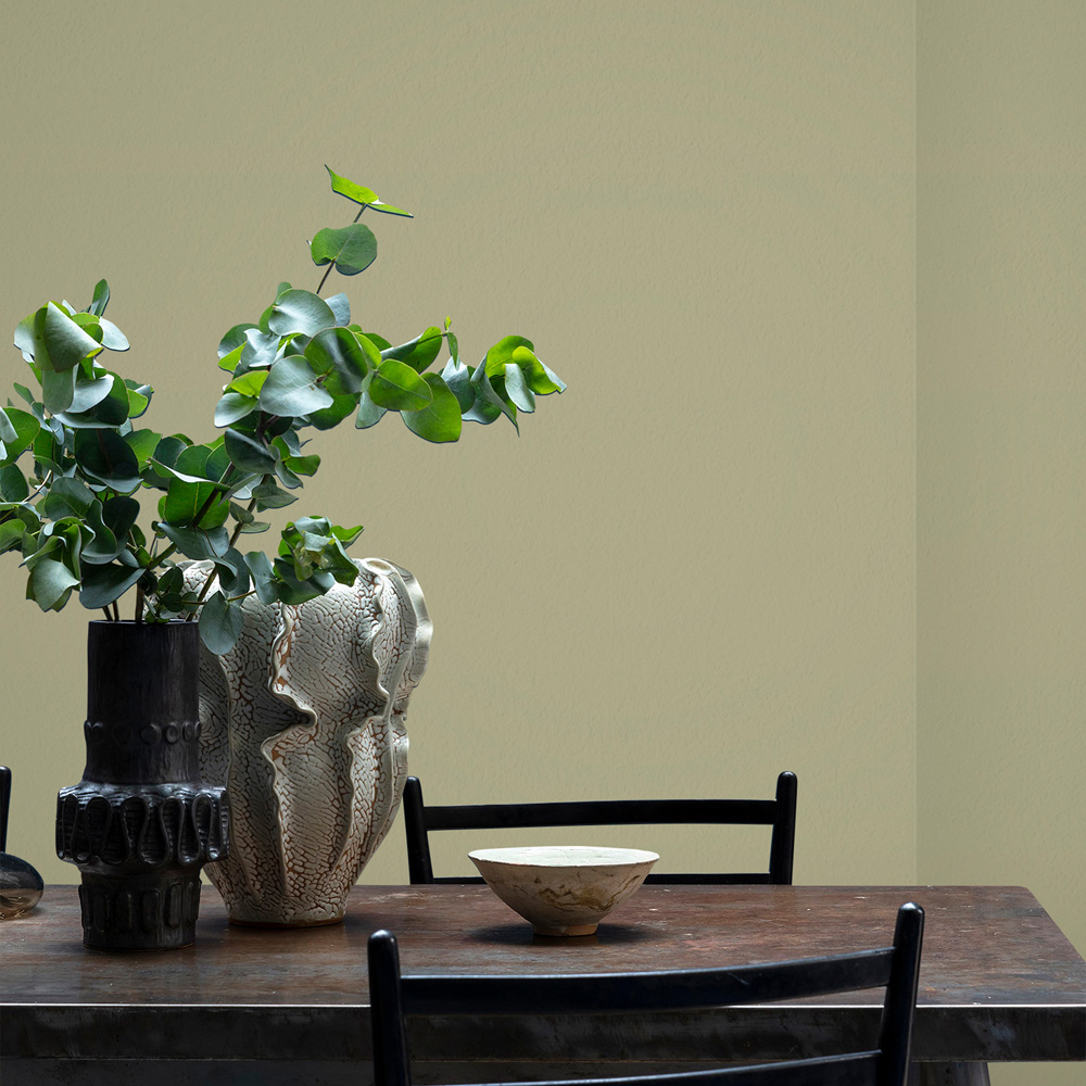 Craig & Rose Walls and Ceilings Tapestry Green Chalky Emulsion Paint 5L Image 4