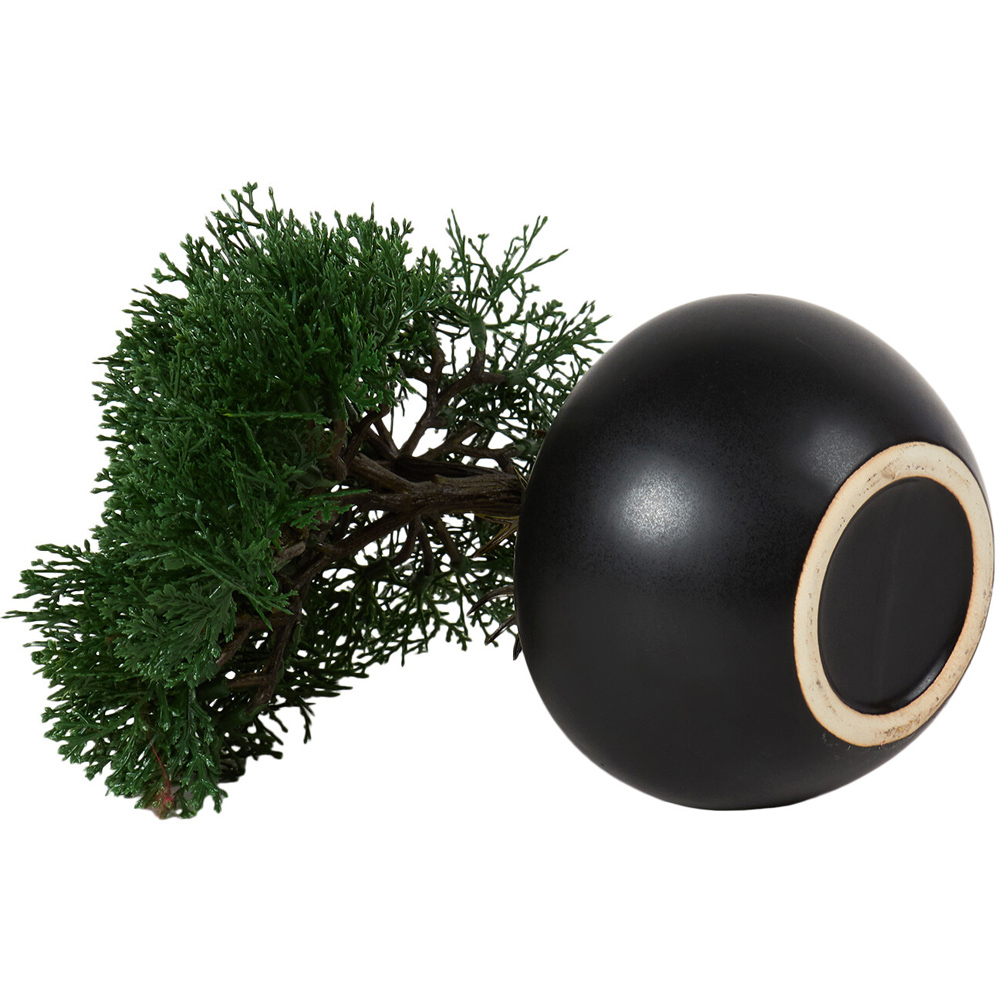 Bonsai Tree - Black Image 3