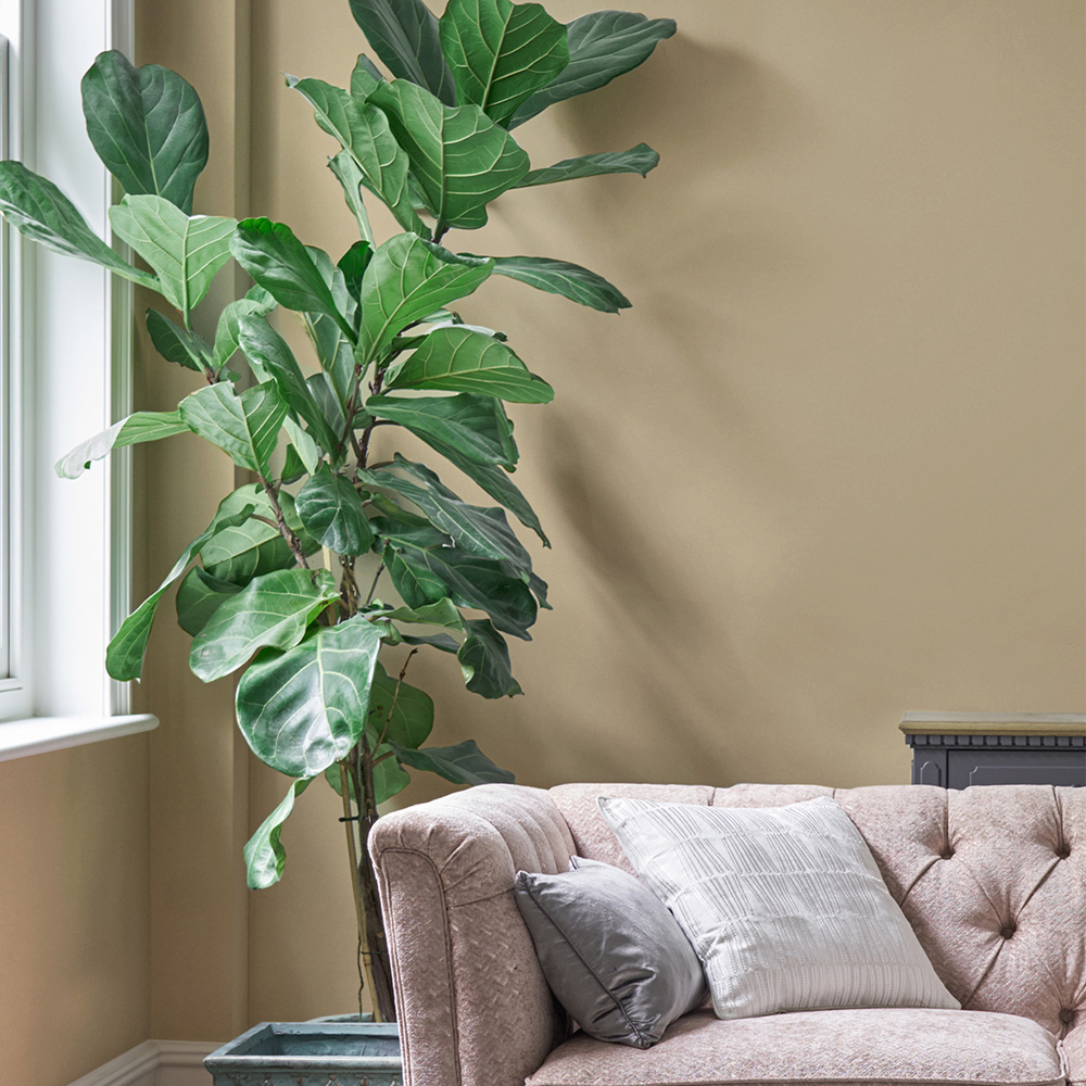 Laura Ashley Pale Gold Matt Emulsion Paint 5L Image 4