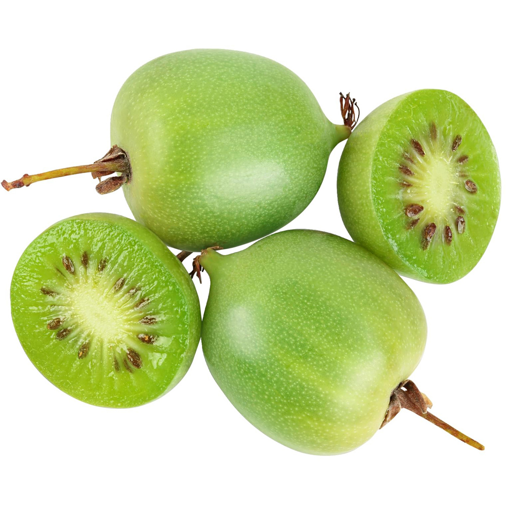 Thompson and Morgan Actinidia Kiwi Arguta Geneva Plant Pot 15cm Image 2