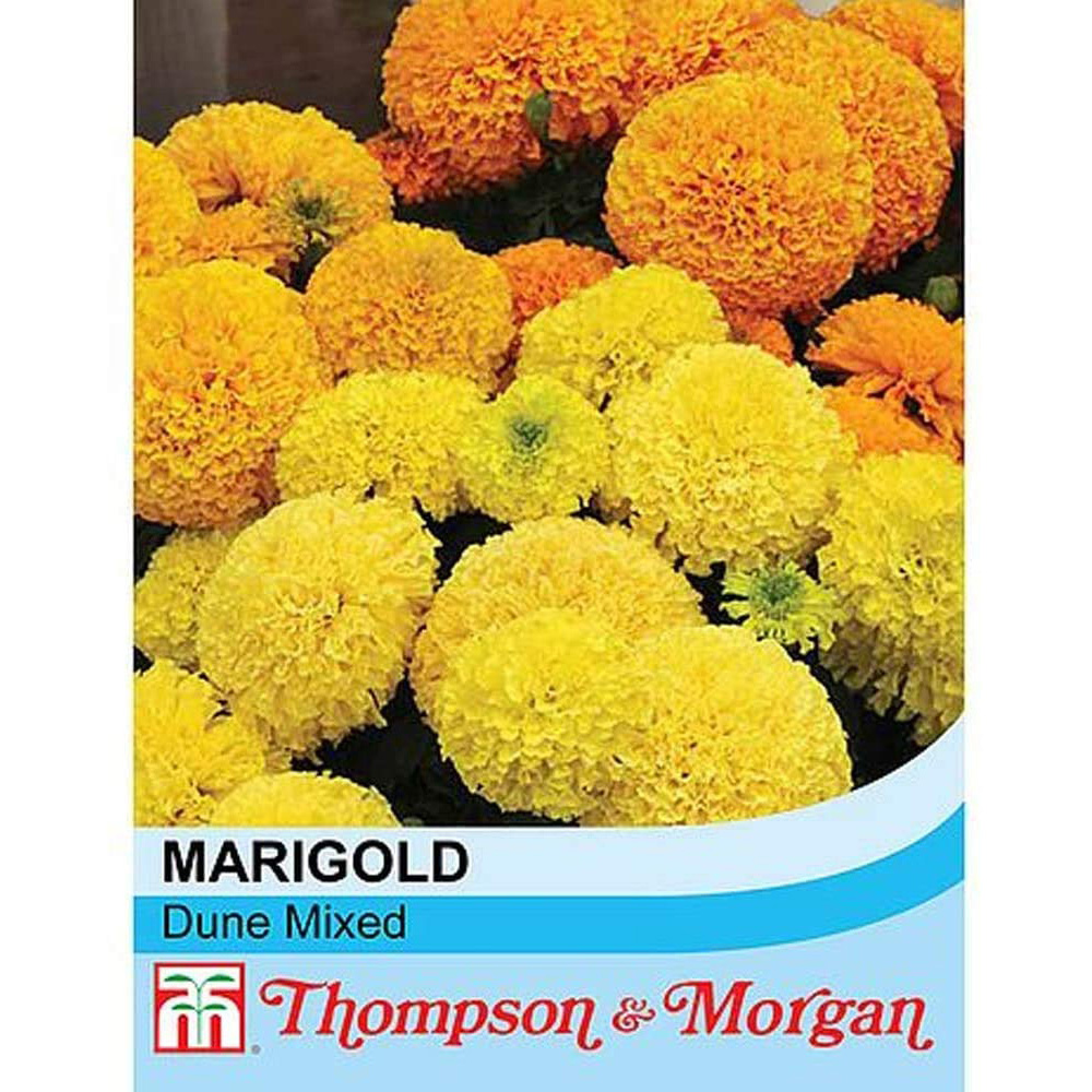 Thompson & Morgan Marigold Dune Mixed Seeds Image 2